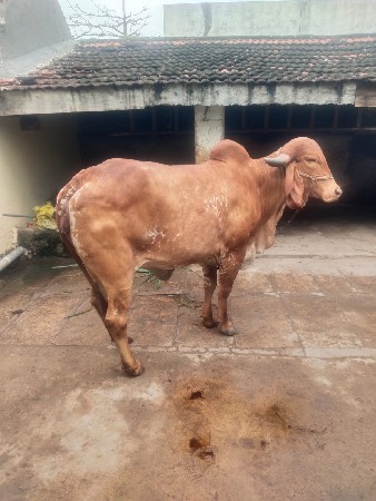 थंबनेल 2