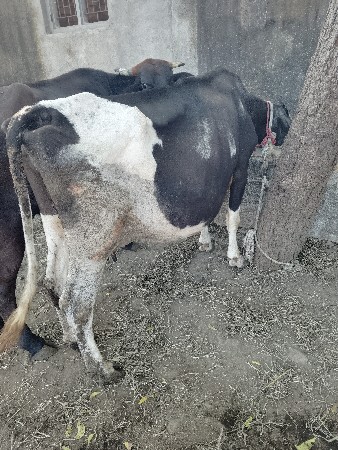 थंबनेल 2