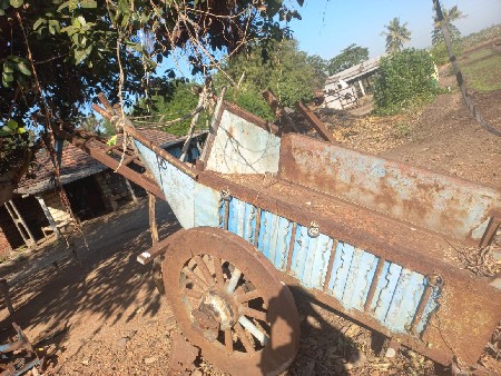 થંબનેલ 3