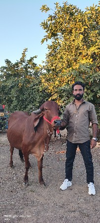 થંબનેલ 3