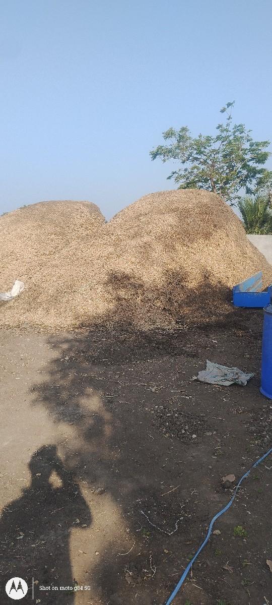 માંડવી નો પાલો વેચવાનો છે