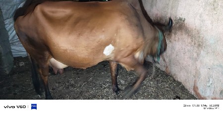 थंबनेल 2