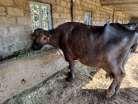 थंबनेल 2