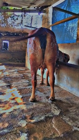 थंबनेल 2