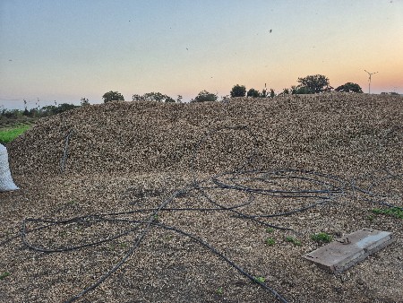 ભુકો કોરો છે