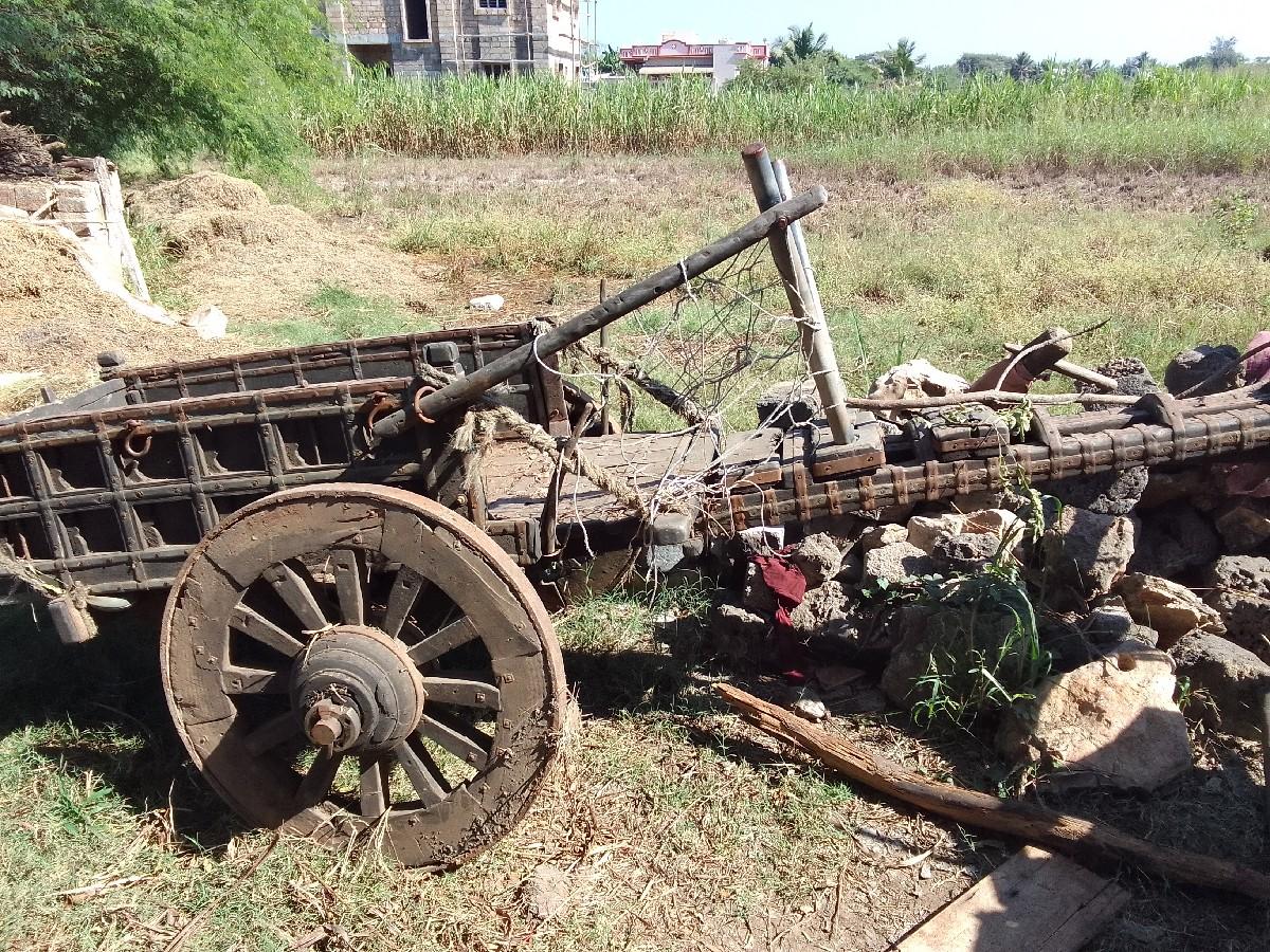 થંબનેલ 3