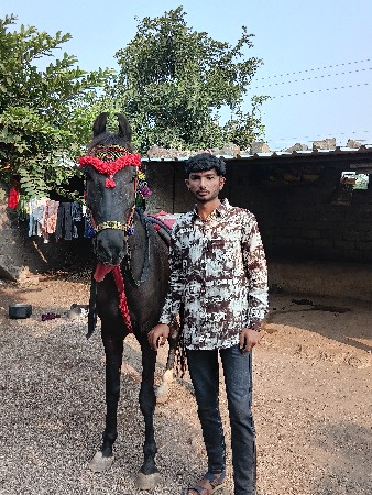 थंबनेल 2