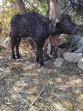 થંબનેલ 3