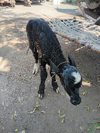 થંબનેલ 3