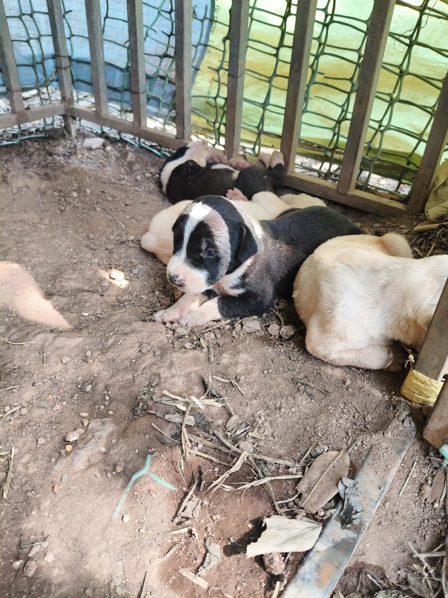 थंबनेल 3