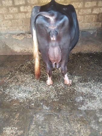 थंबनेल 3