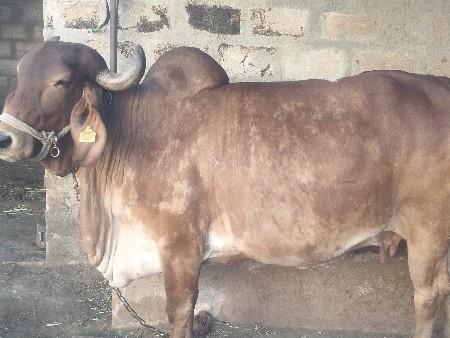 थंबनेल 2