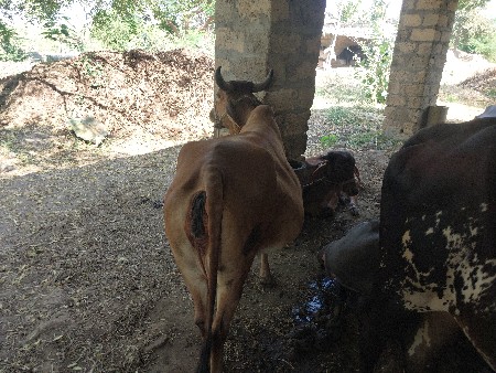 થંબનેલ 3