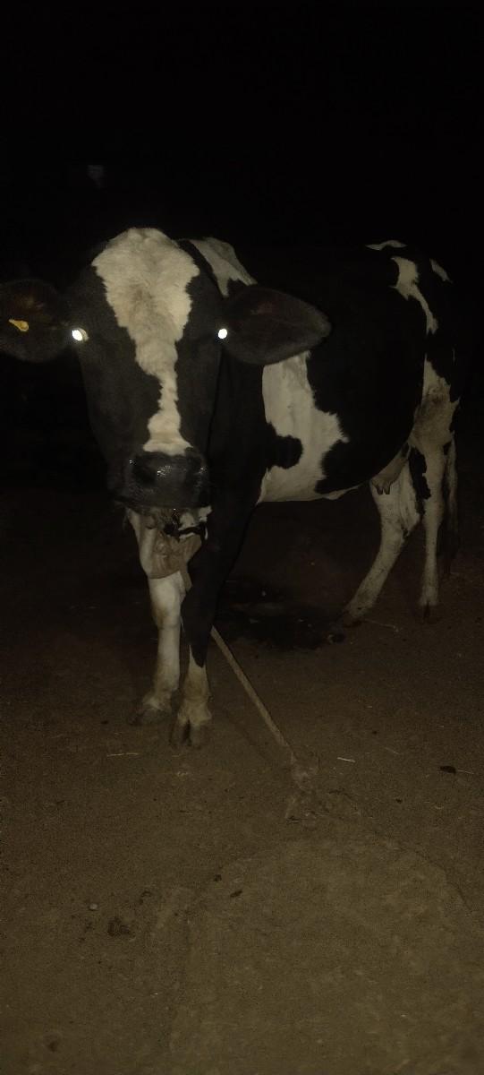 थंबनेल 2