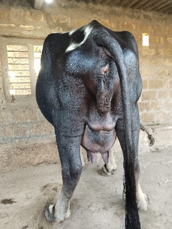 થંબનેલ 3