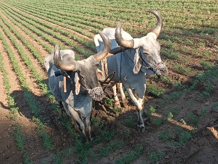 તન ધર ના સે