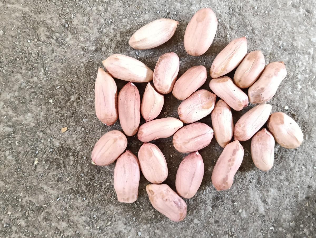 39 મગફળી વેચવાની છે ટેકા ભાવે