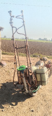 થંબનેલ 3