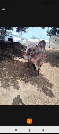 थंबनेल 2