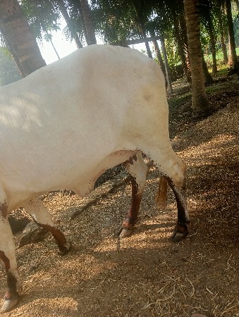 थंबनेल 2