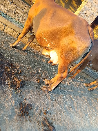 થંબનેલ 3