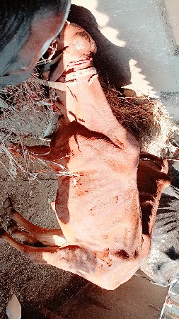 थंबनेल 2