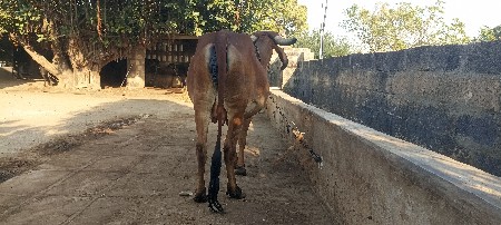 થંબનેલ 2