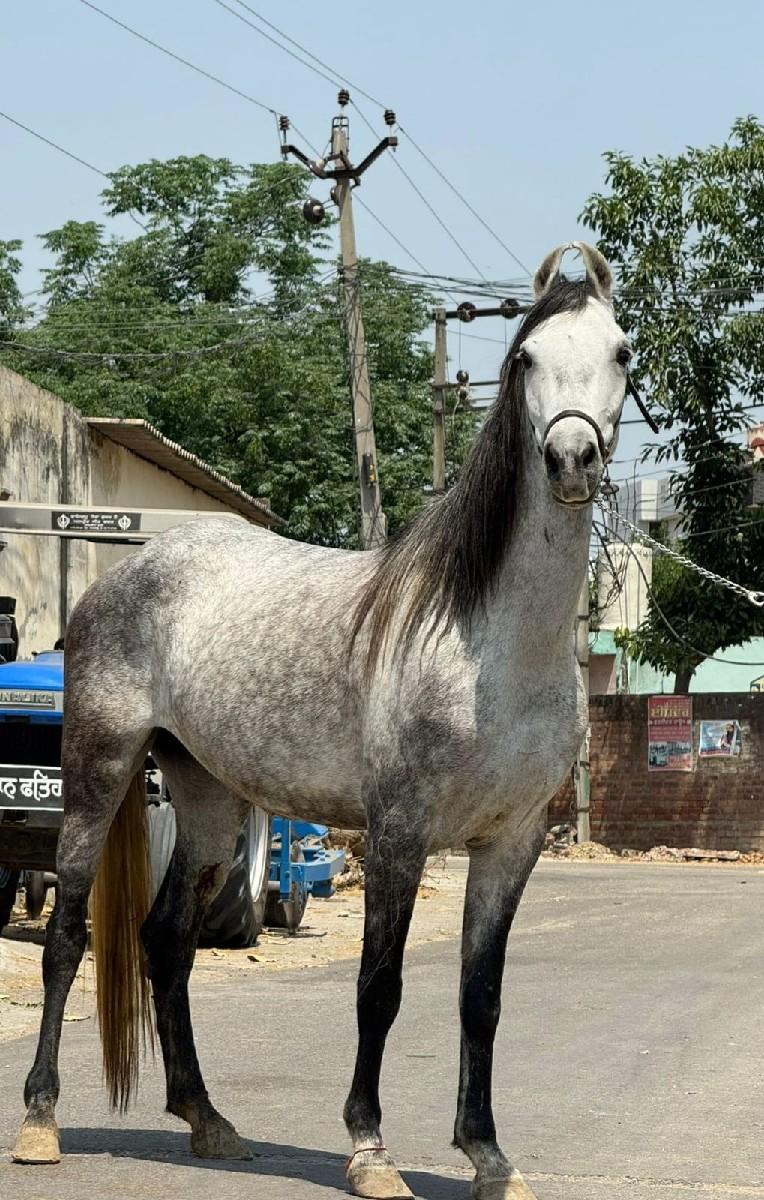 थंबनेल 3