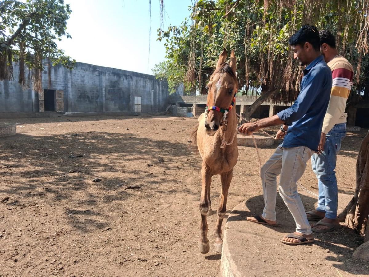 થંબનેલ 3