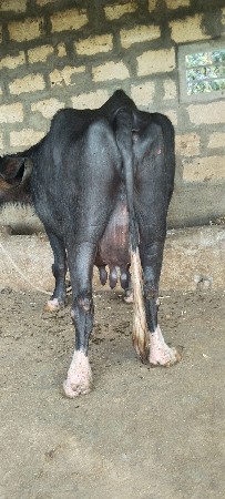 थंबनेल 2