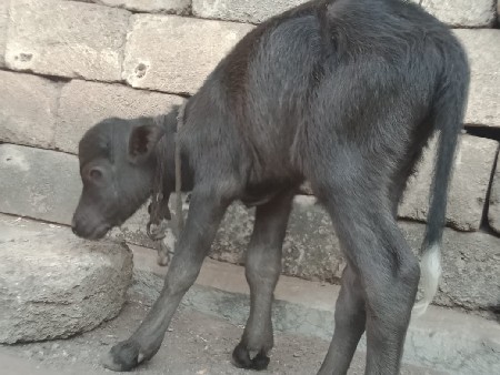 थंबनेल 2