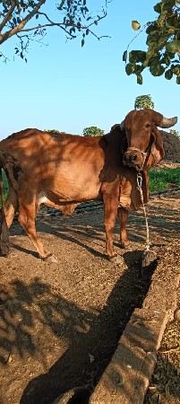 थंबनेल 2