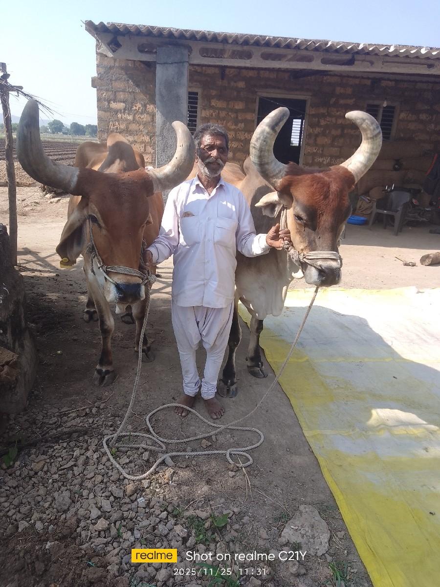 થંબનેલ 3