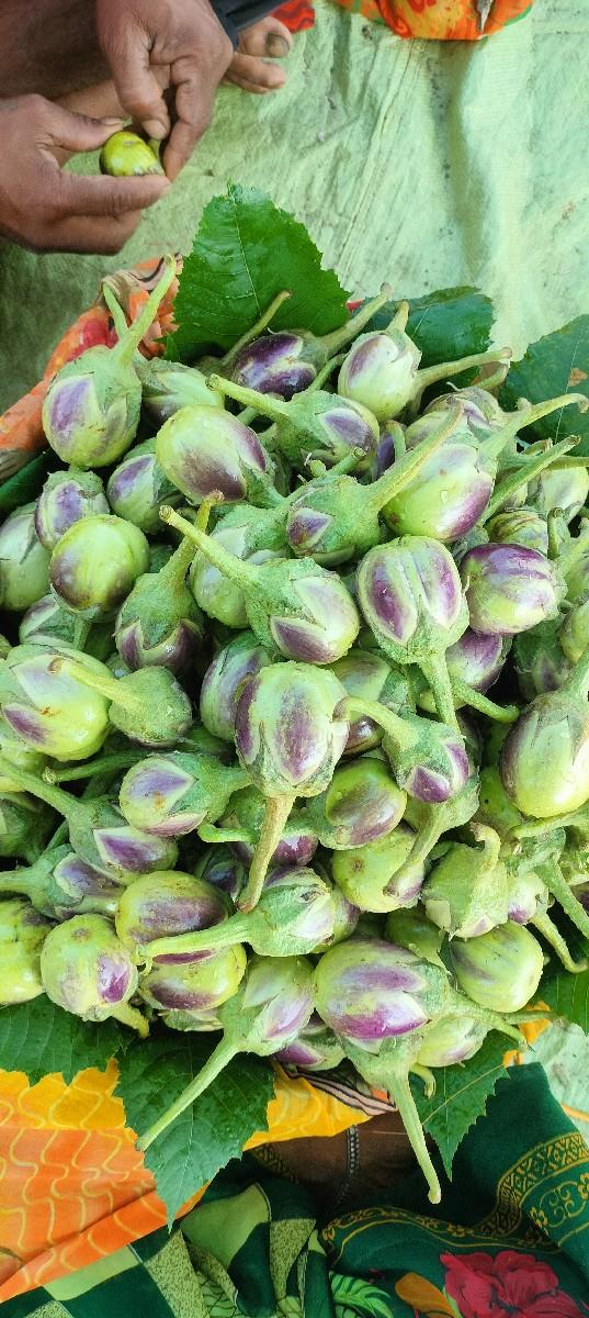 થંબનેલ 3