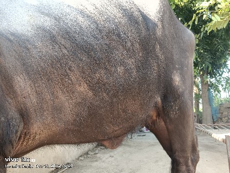 થંબનેલ 2