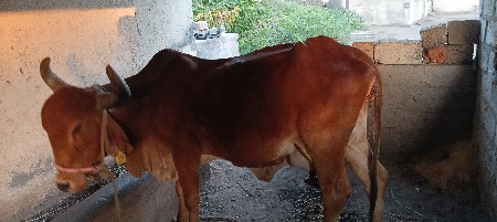 थंबनेल 3