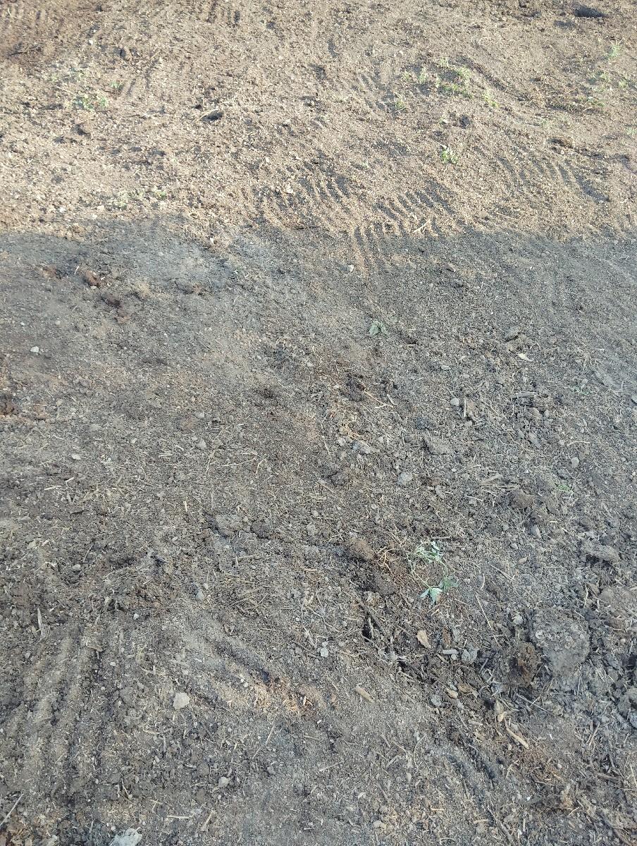 દેશી છાણિયું ખાતર