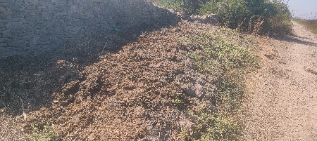 દેશી ખાતર છાણીયુ