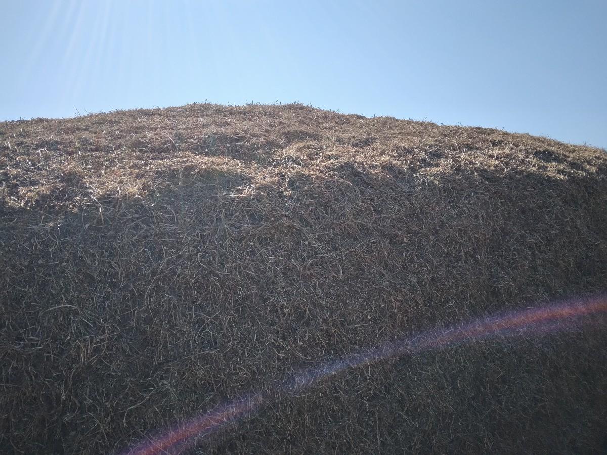 મગફળી નૉ પાલન વેચવા નો છે.