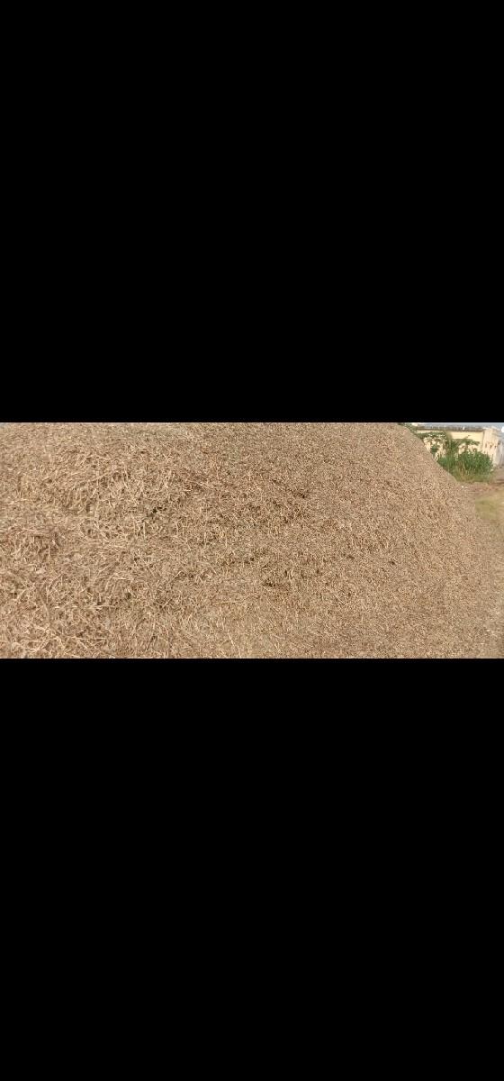 માંડવી નો ચારો વેચવા નો છે