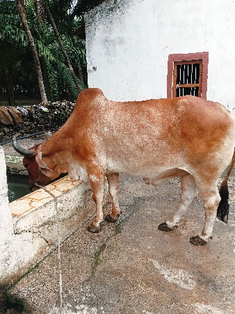 थंबनेल 2