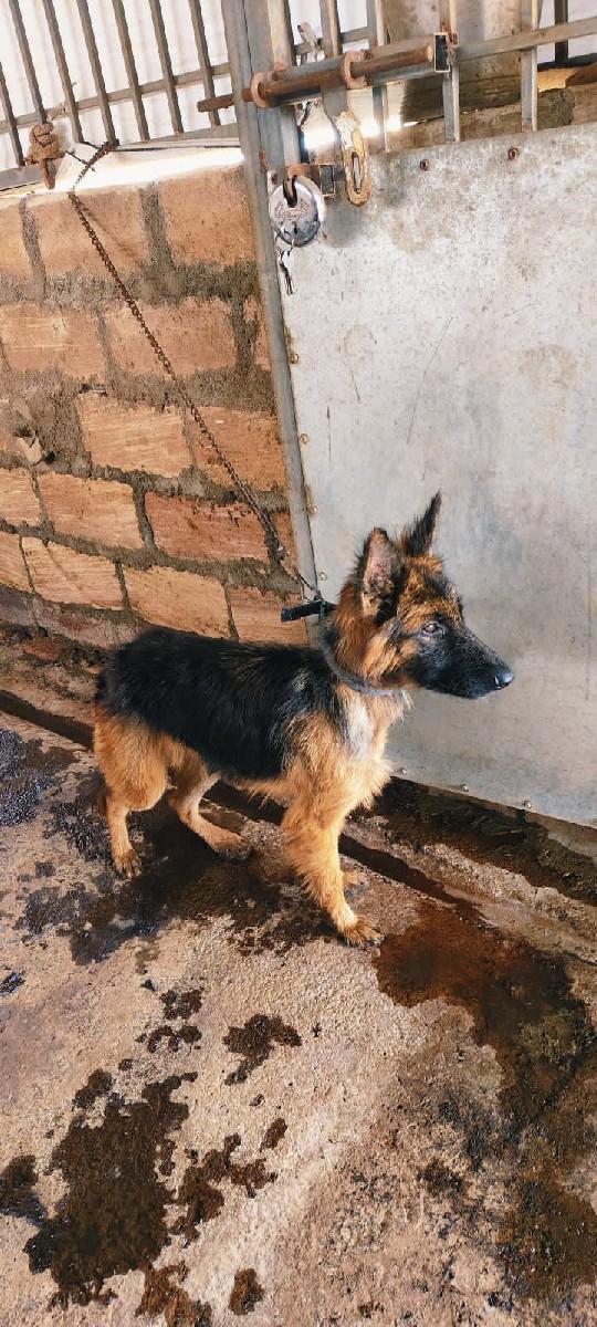 थंबनेल 2