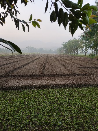 jamin vechva ni che 5 vigha