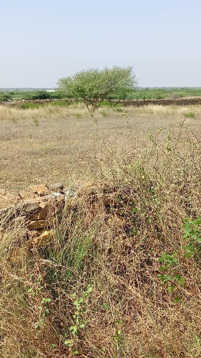 જમીન વેચવાની છે