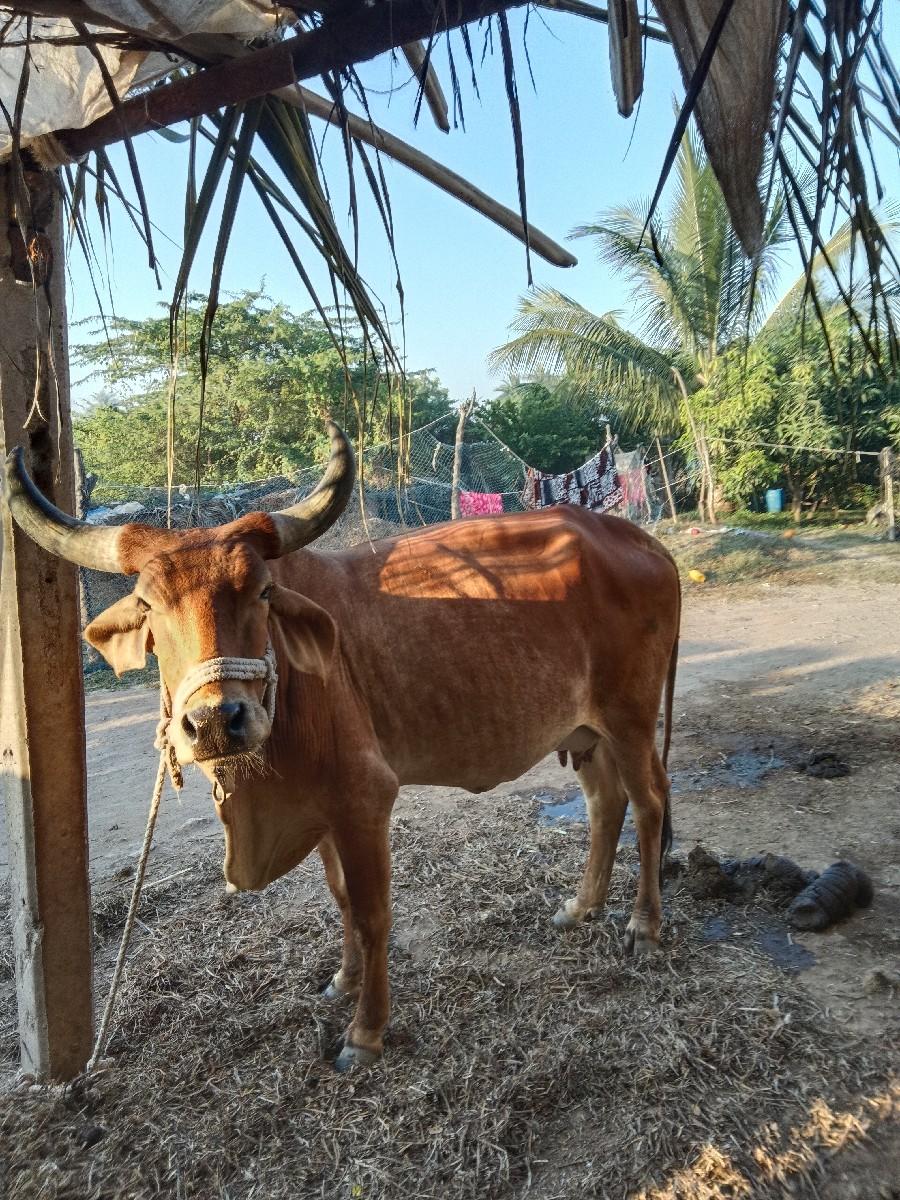 थंबनेल 2