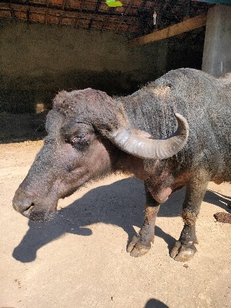 थंबनेल 2