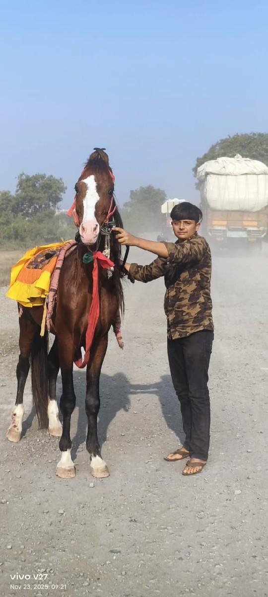 थंबनेल 3