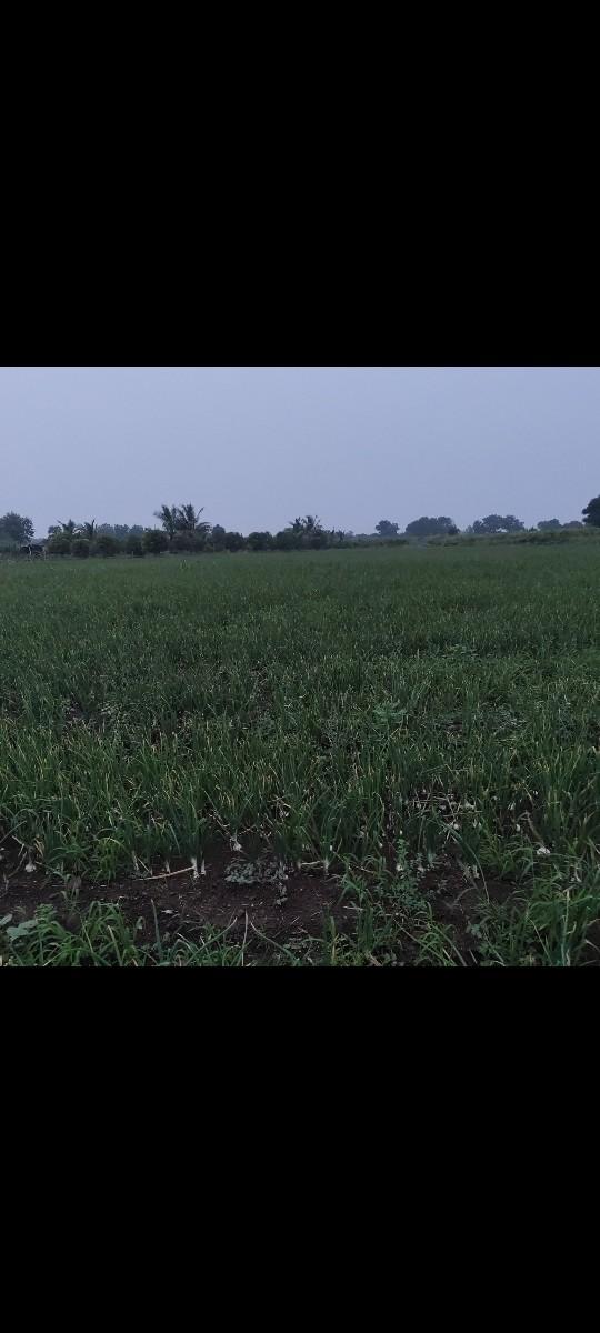 30 વીઘા જમીન સે કુવો કન્નેકશન