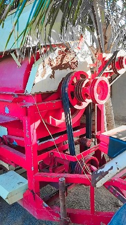 થંબનેલ 3