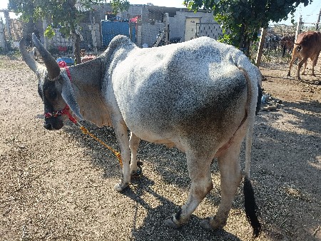 थंबनेल 2